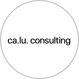 CaLu Consulting